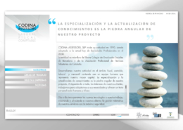 Development of corporate website CODINA ASSESSORS